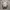 Nike Air Ultraforce Flyknit photo 5