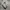 Nike Air Ultraforce Flyknit photo 1