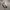 Nike Air Ultraforce Flyknit photo 2