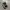 Vans Old Skool Classic Black White  photo 1