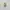 Nike ZoomX Vaporfly Next% 2 photo 6