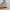 Nike ZoomX Vaporfly Next% 2 photo 2