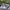 Adidas Sportswear Minimalist Sneakers Pria green blue photo 6