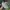 Adidas Sportswear Minimalist Sneakers Pria green blue photo 1