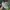 Adidas Sportswear Minimalist Sneakers Pria Green Blue