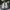 Adidas Sportswear Minimalist Sneakers Pria green blue photo 4