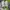 Adidas Sportswear Minimalist Sneakers Pria green blue photo 5