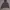 Hoodie A Bathing Ape photo 7