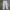 Reebok jogger sporty and shortpants casual photo 3