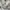 Polo Ralph Lauren Formal pants Pria white photo 4
