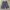 Y2k jorts pants baggy skena photo 1