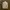 jaket photo 4