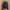 custom photo 1