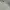 Polo Ralph Lauren Polo shirt Pria white photo 2