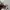 Polo Ralph Lauren Polo shirt Pria white photo 3