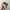 Adidas Streetwear Casual Sneakers Wanita white photo 4