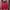 Track jacket Pria red photo 1
