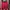 Track Jacket Pria Red