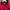 Track Jacket Pria Red