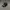 New Era 9 Forty MLB NY Original - New Era NY Yankees photo 1