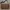 authentic vintage coach soho signature photo 1