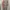 Pomelo Trench coat photo 2