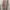 Pomelo Trench Coat