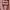 Pomelo Trench coat photo 3