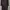Outer Army photo 2