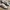 Adidas Samba X Nice Kicks photo 2