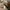 Dickies Streetwear Y2K Sweatshirt Pria cream tan photo 5