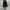 CONVERSE CHUCK TAYLOR ALL STAR CLASSIC BASIC MONO BLACK HIGH photo 5