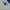 MLB Streetwear Casual Jersey Pria white blue photo 8