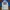 MLB Streetwear Casual Jersey Pria white blue photo 1