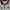 Tracktop Adidas Climate New York Aggies Original  photo 2