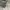 Longchamp Casual Handbag Wanita gray photo 4