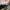 Longchamp Casual Handbag Wanita gray photo 6