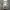 Converse  renew warna sage photo 3
