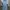 ZARA Casual Casual dress Wanita blue photo 3