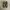 Vans Authentic photo 2