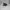 Rayban RB4105 Folding wayfarer photo 7