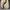Tommy Hilfiger Casual Boots Pria cream photo 6