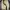 Tommy Hilfiger Casual Boots Pria cream photo 5