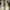 Tommy Hilfiger Casual Boots Pria cream photo 3