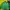 Adidas Sportswear Windbreaker Pria Green
