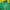 Adidas Sportswear Windbreaker Pria green photo 4