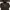 Warior Wear Softsell Back Pocket photo 1