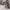 Red Wing Shoes Casual Boots Pria brown photo 1