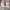 Timberland Casual Sneakers Pria burgundy photo 7