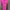 Dress Size XS